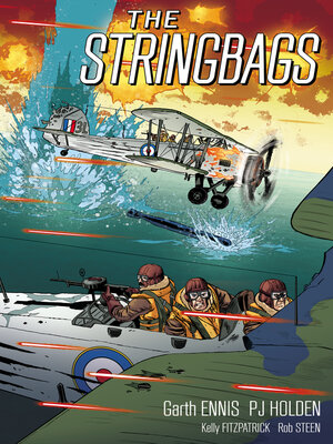 cover image of The Stringbags